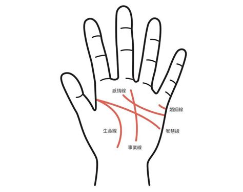 右手感情線斷掉|手相怎麼看？感情線、智慧線、生命線在哪裡？長度、。